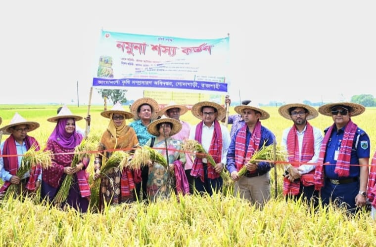 রাজশাহীর গোদাগাড়ীতে জেলা প্রশাসকের ব্যস্ততম একদিন
